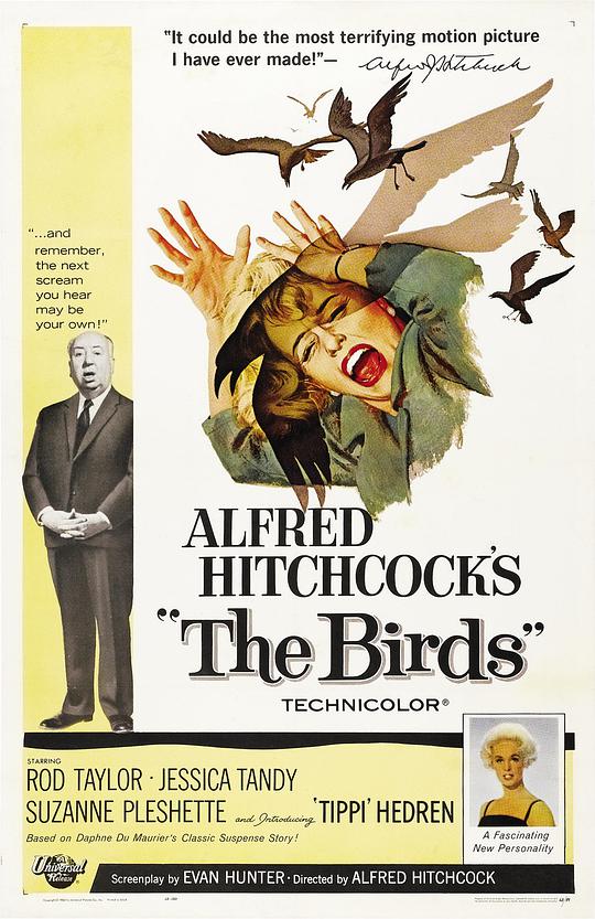 群鸟 / The Birds