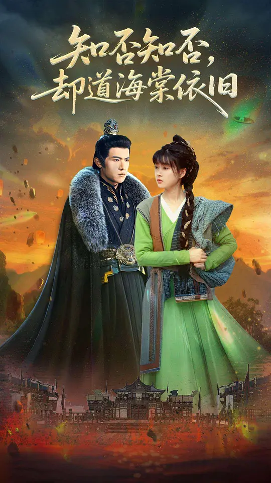 知否知否却道海棠依旧